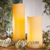 Alcott Hill Resin Flameless Candle ALTH3685